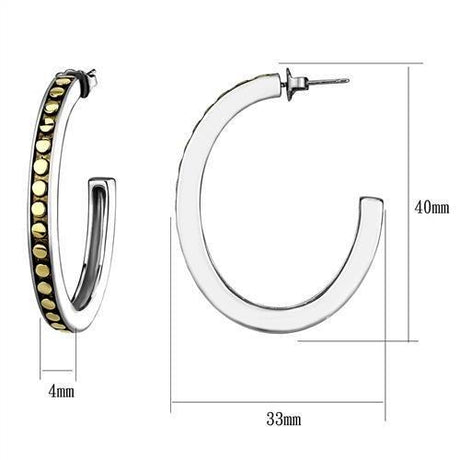 Two-Tone IP Gold (Ion Plating) Stainless Steel Earrings with Epoxy  in Jet