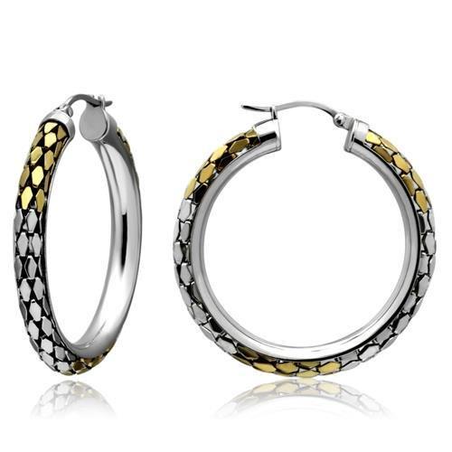Gold+Rhodium Stainless Steel Earrings with No Stone