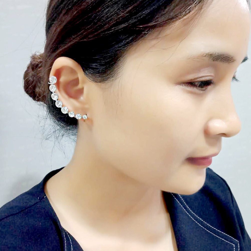 High polished (no plating) Stainless Steel Earring with Top Grade Crystal in Clear