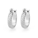 Imitation Rhodium Brass Earring with NoStone in No Stone