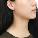 High polished (no plating) Stainless Steel Earrings with AAA Grade CZ  in Clear