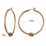 IP Coffee light Stainless Steel Earrings with No Stone