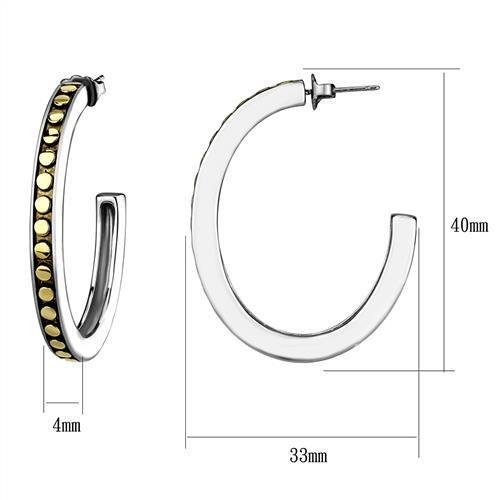 Two-Tone IP Gold (Ion Plating) Stainless Steel Earrings with Epoxy  in Jet