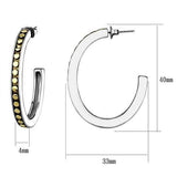 Two-Tone IP Gold (Ion Plating) Stainless Steel Earrings with Epoxy  in Jet