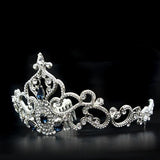 Imitation Rhodium Brass Tiaras & Hair Clip with Top Grade Crystal  in Montana