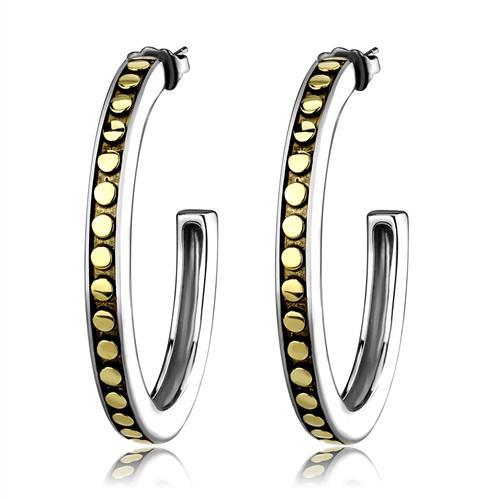 Two-Tone IP Gold (Ion Plating) Stainless Steel Earrings with Epoxy  in Jet
