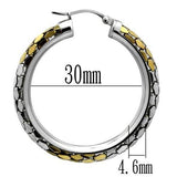 Gold+Rhodium Stainless Steel Earrings with No Stone